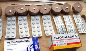 Сотрясение у кота. Травматический шок у кошек