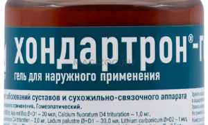 Виды препаратов для поддержки внутренних органов и суставов животных