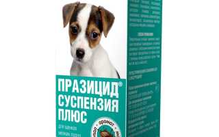 Таблетки, капли, суспензии и другие глистогонные препараты: какие средства от глистов давать собаке и когда?