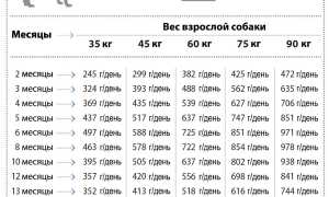 Развитие щенка немецкой овчарки: вес и рост собаки по месяцам с фото