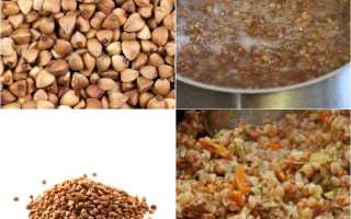 Каша для собак. Можно ли давать? Как варить и какую?