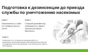 Что такое дезинсекция от СЭС и когда она проводится