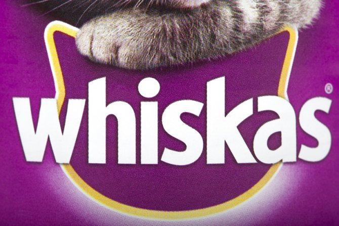 Корм для кошек вискас