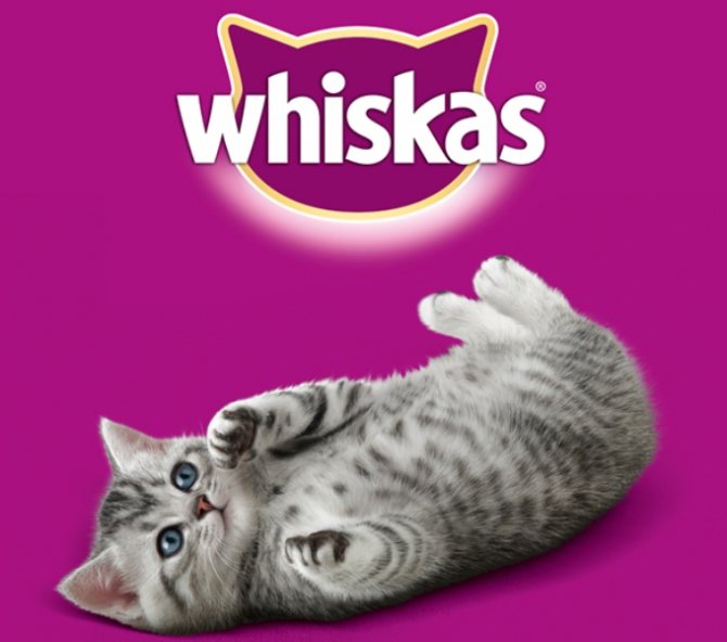 Корм для кошек Whiskas: отзывы и разбор состава