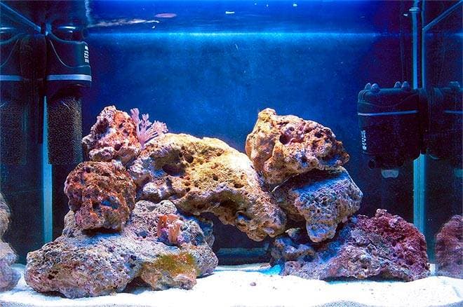 Морские камни в аквариуме