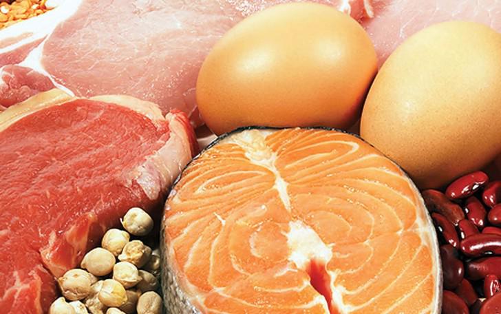 Белковая пища Белковая пища