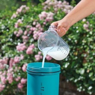 Опрыскивание пионов