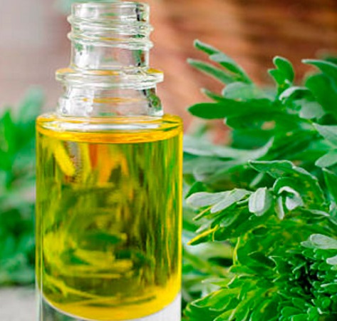 Божье дерево