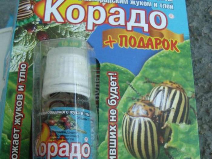 Корадо