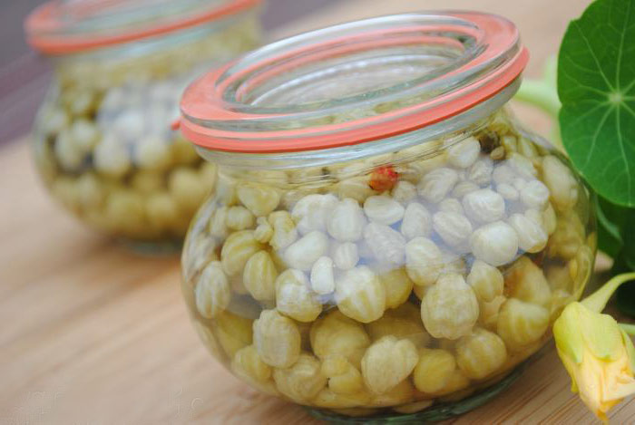 Семена настурции