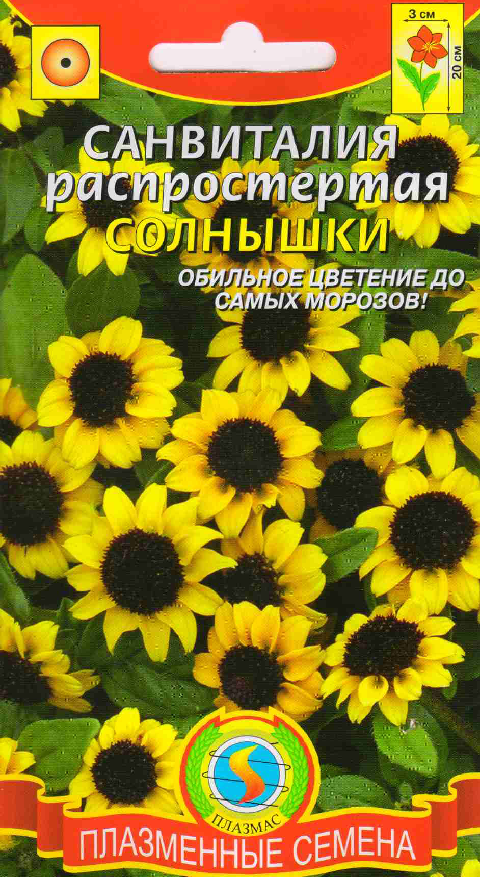 Санвиталия семена