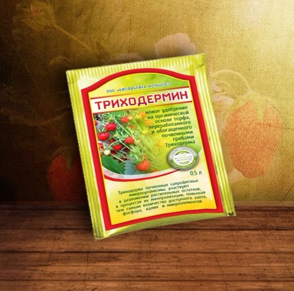 Триходермин