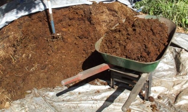 Перегной, навоз для грядки