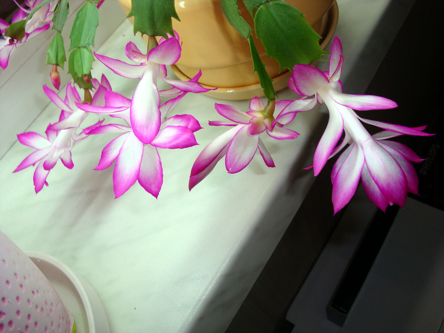 Шлюмбергера