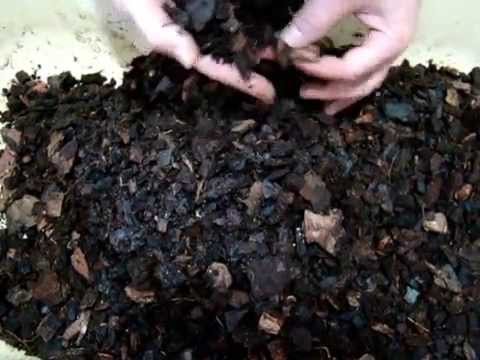 Почва для мильтонии