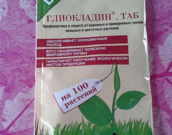 Глиокладин