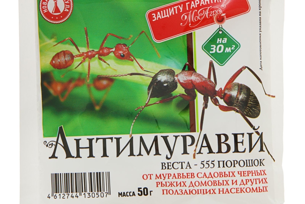 Антимуравей