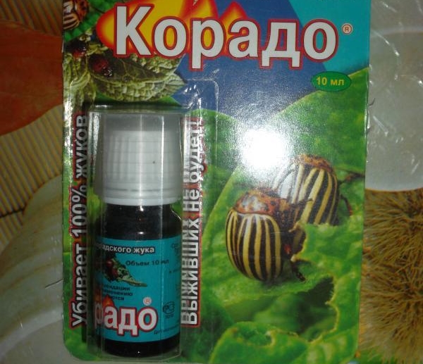 Корадо