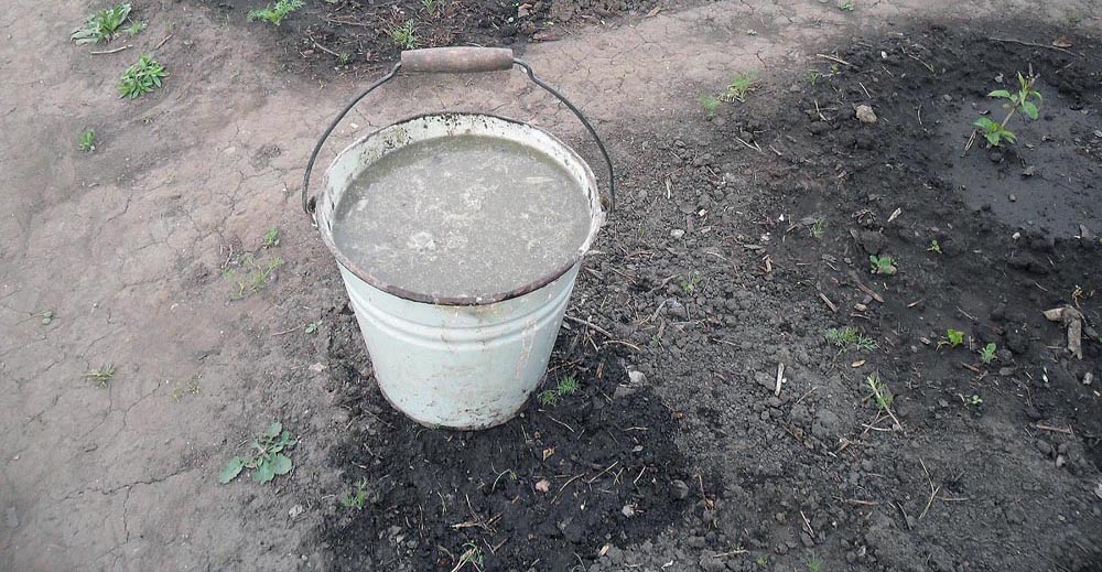 Раствор коровяка