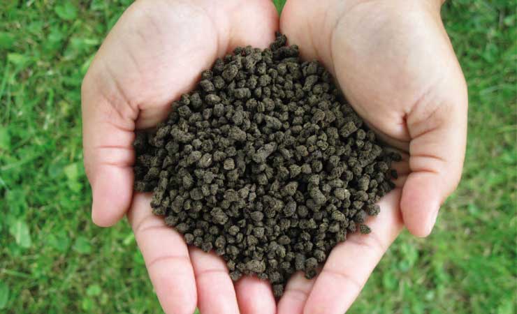 Подкормка цветов