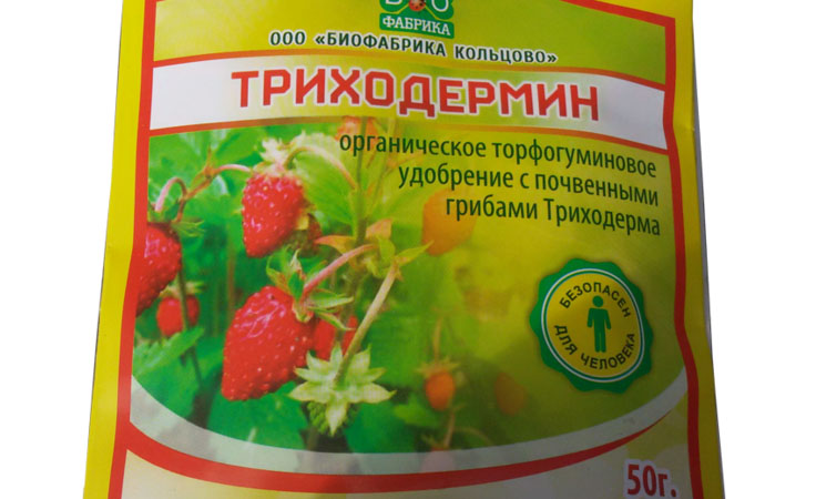 Триходермин