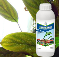 Инсектицид Оберон