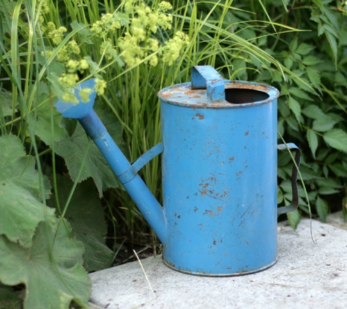 Лейка для полива