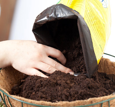 Почвеаи подкормка для растений