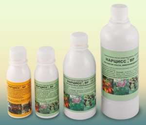 Препарат Нарцисс