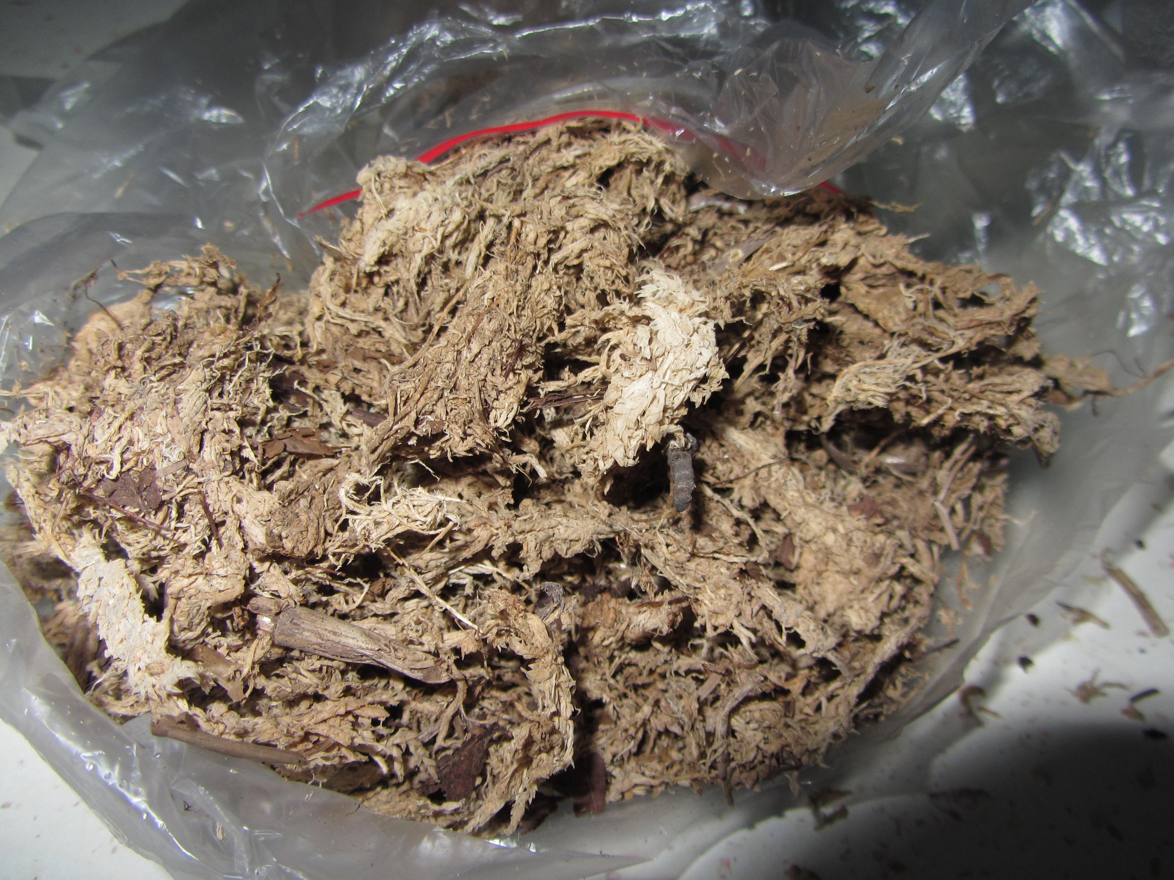 Грунт для непентеса