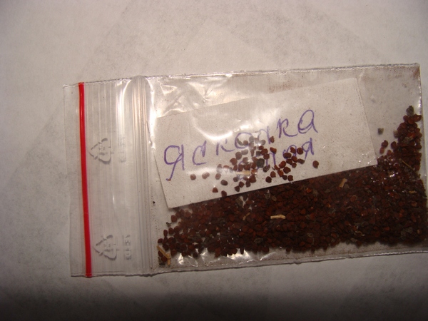 Семена ясколки войлочной