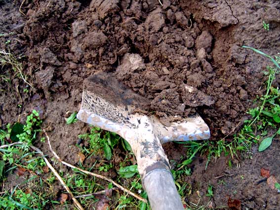 Подготовка почвы перед высадкой цветов нациссы