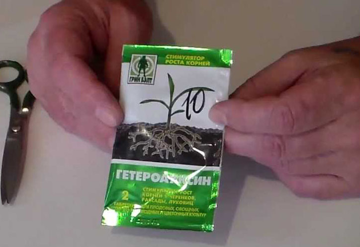 Гетероауксин