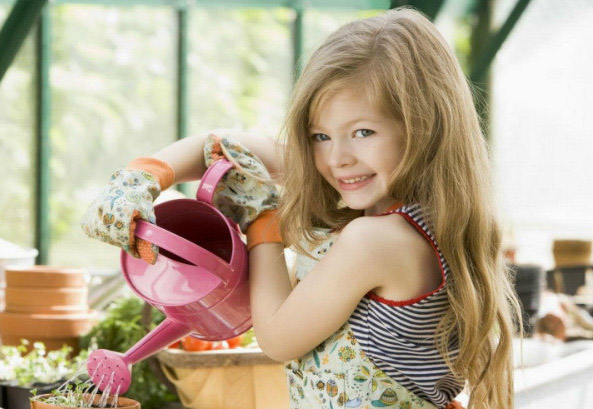 Полив пахистахиса