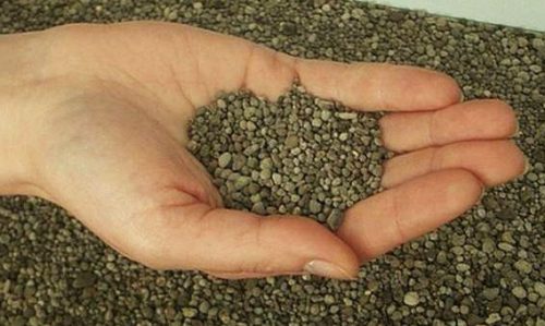 Подкормка цветка