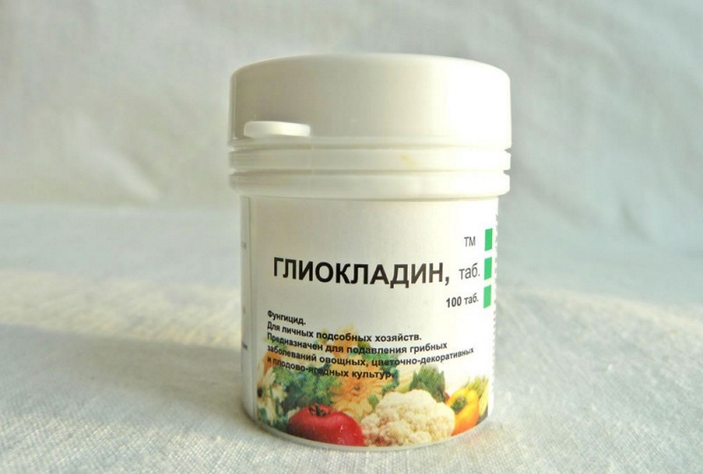 Глиокладин