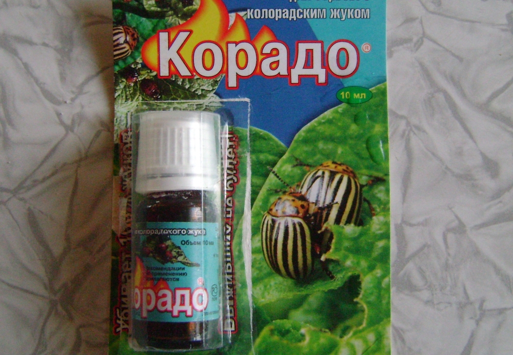 Корадо