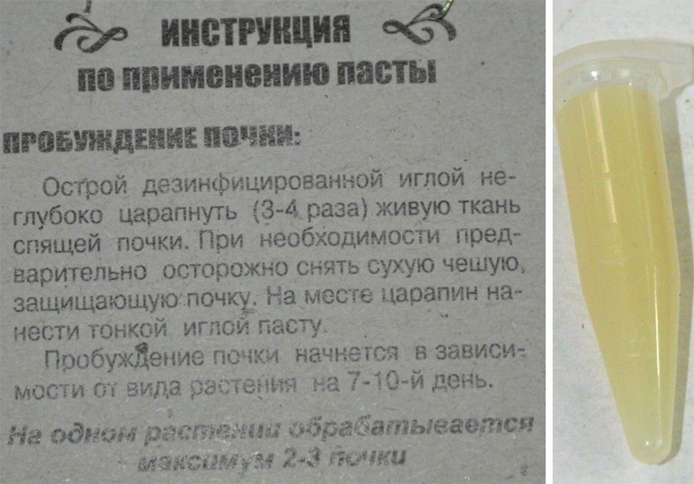 Цитокининовая паста