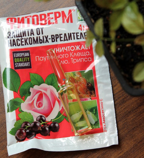 Фитоверм пременяется на приусадебных участках и для комнатных растений.
