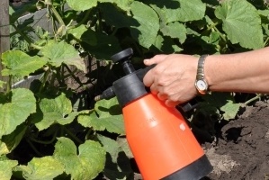 Опрыскивание