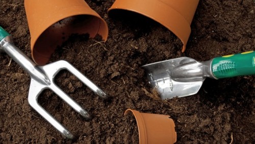 почва и грунт для эухариса