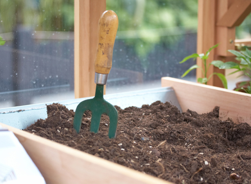 Грунт для строманты