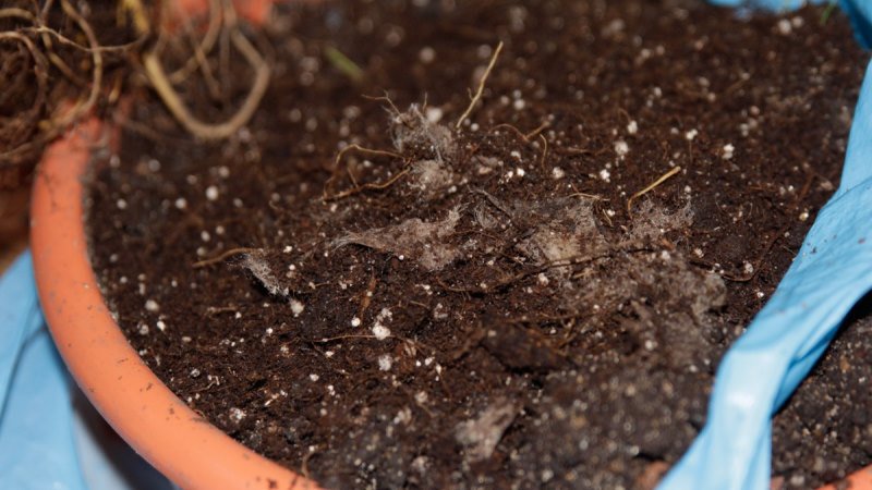 Требование к грунту