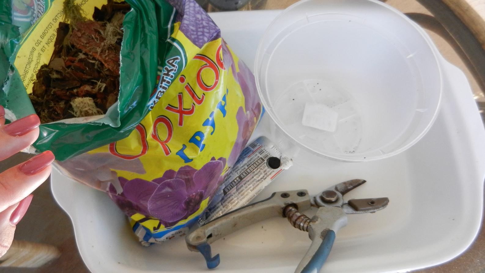 Пересадка орхидеи Ванда