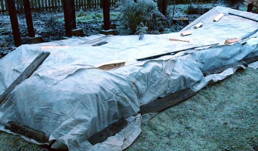 Организация зимовки для роз