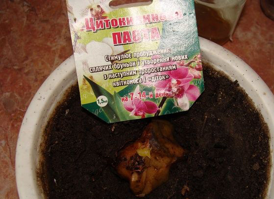 Цитокининовая паста