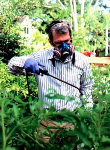 Обработка растений препаратами