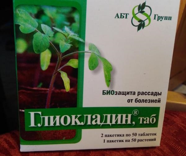 Глиокладин