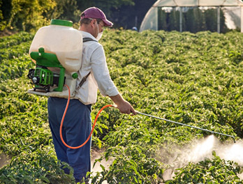 Средства защиты при обработке инсектицидами