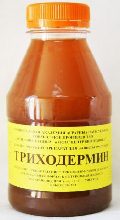 Триходермин